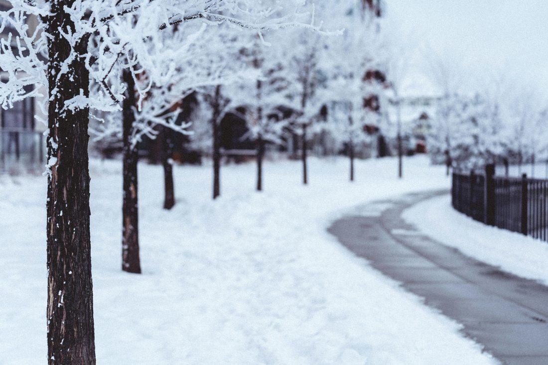 Voetpad bevroren en sneeuw