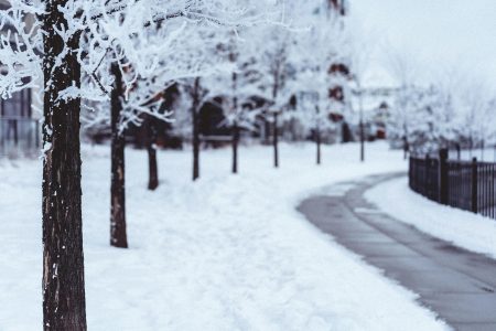 Voetpad bevroren en sneeuw