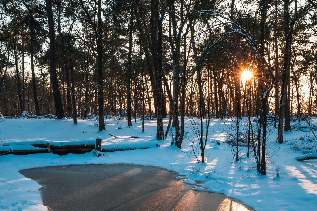 Kans op sneeuw en gladheid