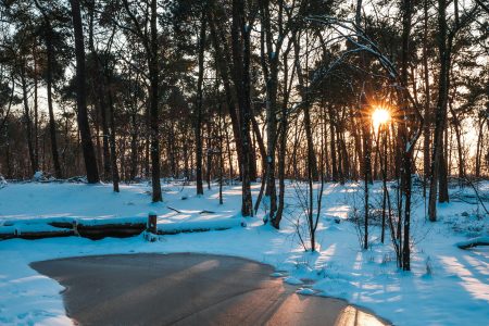 Kans op sneeuw en gladheid