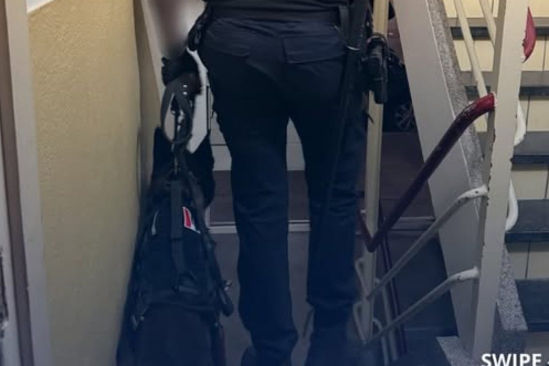 Politiehond Djayro vlak voor zijn optreden