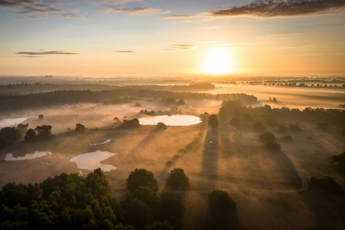 Zonsopkomst landelijk en bos
