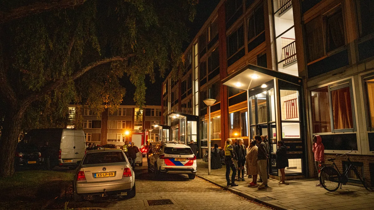 Bronbeeld bij het bericht